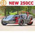 Presagie el Quanlity seguro nuevo CEE 250cc Ztr Roadster de Trike en venta